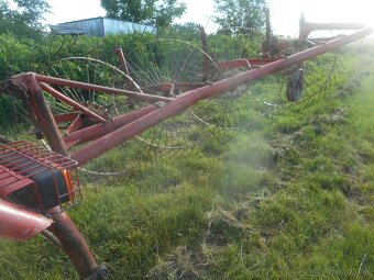 Slnieckova hrabacka - 3