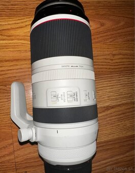 Canon RF100-500mm F4.5-7.1 L IS USM - 3