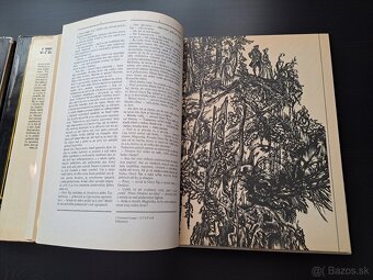 James Fenimore Cooper - 3