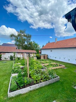 RD/chalupa v Borskom Mikuláši - 3