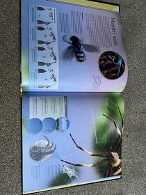 Knihy o hmyze - 3