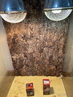 Terarium pre chameleona - 3