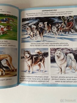 Leví kráľ Walt Disney,Bambi - 3