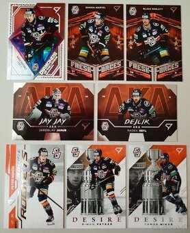 Hokejové kartičky TIPOS EXTRALIGA 2024/2025 - HC KOŠICE - 3