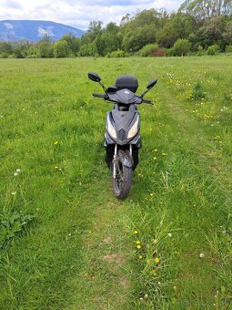Adamoto ard 125 - 3