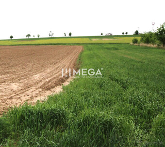 NA PREDAJ INVESTIČNÝ POZEMOK V OBCI ZEMPLÍNSKE HÁMRE 3114 m² - 3