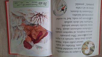 Rozprávkový šlabikár-Šípková Ruženka - 3