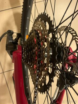 Bicykel Amulet 29 night cat 6.0 - 3