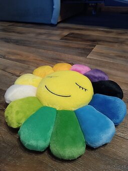Takashi Murakami Pillows - 3