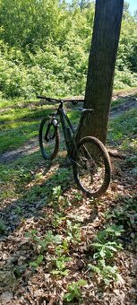 Cannondale Habit HT3 - 3