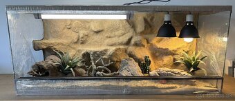 Terárium 120x50x50 s 3D stenou - 3