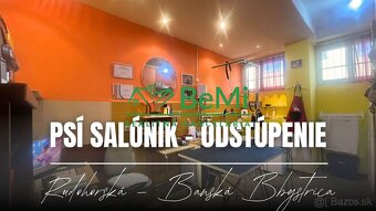 Odstúpenie - salónik - strihanie psíkov Sásová,Banská Bystri - 3
