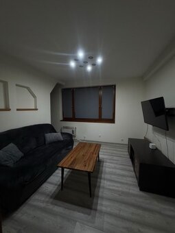 1 izbový byt na prenájom - 3