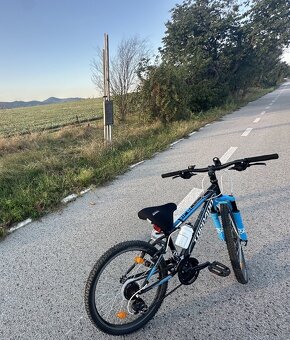 Detský horský bicykel Torpado Viper 24 - 3