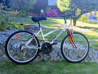 Author -detsky bicykel - 3