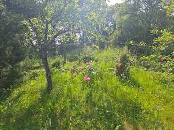 Murovaná Chata 6x9m, s pozemkom 755m2, predaj, Suchodolinská - 3