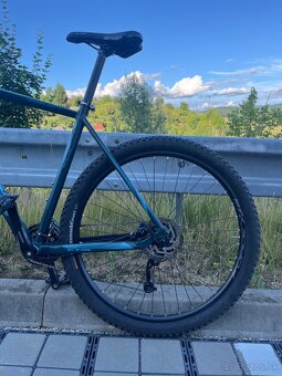 CTM Rambler 1.0 29” XL 2019 - 3