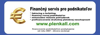Finančný servis pre podnikateľov - 3