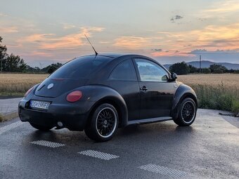 VW New Beetle - 3