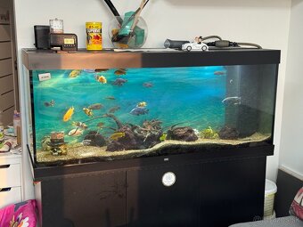 German-Made Juwel Rio 450 LED Aquarium - Full Setup - 3