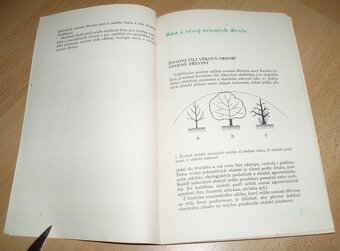 ez ovoných dřevin - 3