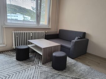 Prenajmem veľký 1 izb. byt v Novej Dubnici - 3