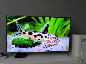 Hisense 55 palcový - 3