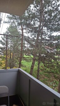 1izbový byt na prenájom - 3