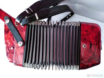 Predam akordeon Delicia Junior 72 bas. - 3