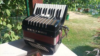 Harmonika -Akordeon.Delícia Junior 60 basová. - 3