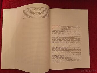 Zlatníctvo na Slovensku - Eva Toranová - 3