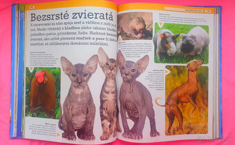 Detské knihy za 1 EUR. ♥              - - 3