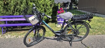 Lectron Citana ebike - 3