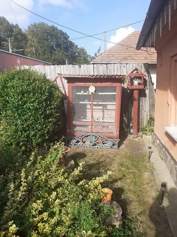 Predám .tovhtoročne Andulky. - 3