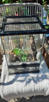 terarium exoterra PC 150 € lacno - 3