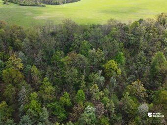 Veľký rekreačný pozemok, Brezová pod Bradlom - 3