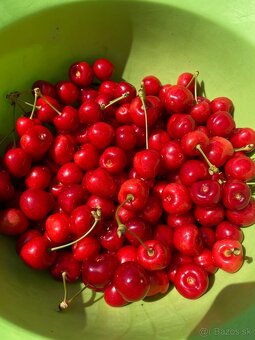 Čerešne - 3