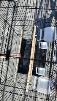 Klietka pre papagaje - vtacia klietka - 3