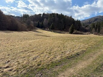 Pozemok nad Lazkami 7767 m2 - obec Bystrička - 3