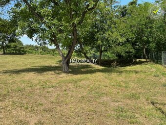 HALO reality - Predaj, rekreačný pozemok Kráľovský Chlmec -  - 3