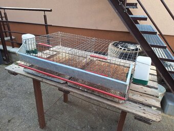Klietka pre prepelice - 3