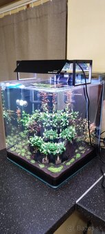 Predam nano 60l akvarium - 3
