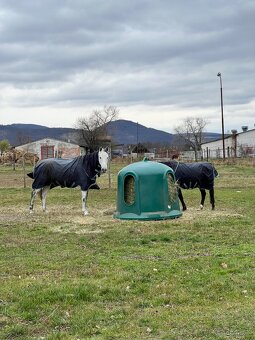 Ponúkame ustajnenie - 3