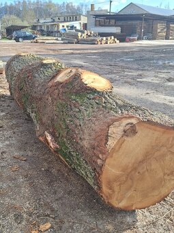 Dubová rustikálna guľatina - 3