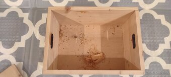 Debnicka na víno - 3