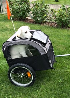 Predám vozík za bicykel pre psa - 3