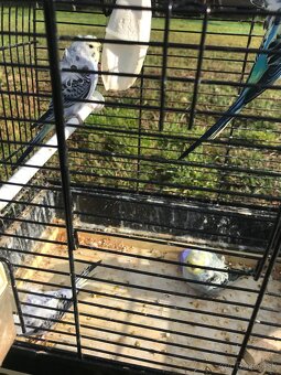 andulky Hagoromo - 3