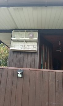 Výstavné klietky - 3