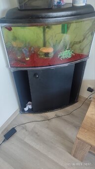 Predám rohové akvárium s objemom 120 litrov a stojanom. - 3