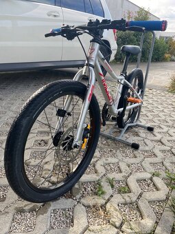 predam detsky bike Amuletyoungster 20" - 3